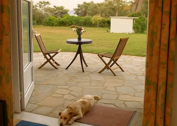 Thassos Cozy Nests - Escape Amidst Greenery