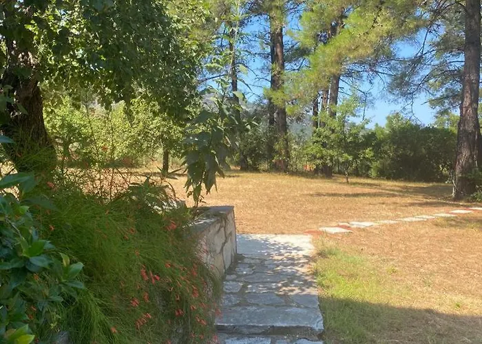 Thassos Cozy Nests - Escape Amidst Greenery