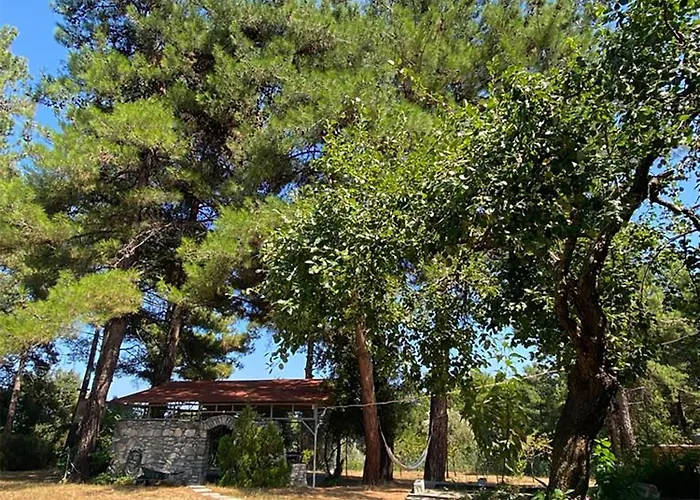 Apartament Thassos Cozy Nests - Escape Amidst Greenery