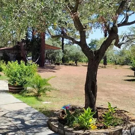 Thassos Cozy Nests - Escape Amidst Greenery * Коинира