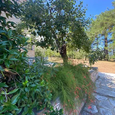 Thassos Cozy Nests - Escape Amidst Greenery Appartamento Kinira