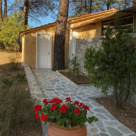 Apartmán Thassos Cozy Nests - Escape Amidst Greenery