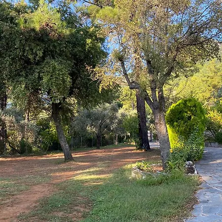 Thassos Cozy Nests - Escape Amidst Greenery Койнира