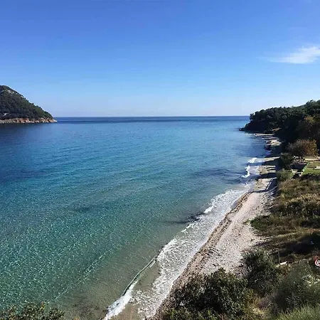 Thassos Cozy Nests - Escape Amidst Greenery Апартамент Койнира