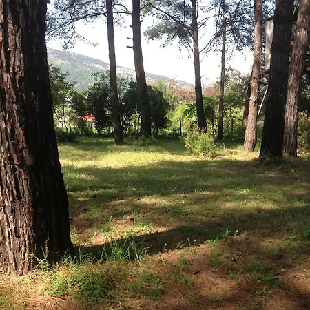 Апартамент Thassos Cozy Nests - Escape Amidst Greenery Койнира