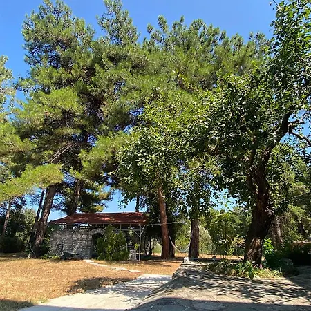 Apartmán Thassos Cozy Nests - Escape Amidst Greenery