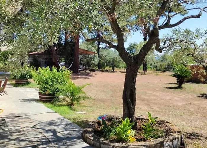 Thassos Cozy Nests - Escape Amidst Greenery * Koinira