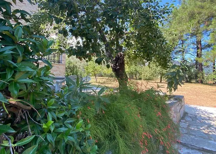 Thassos Cozy Nests - Escape Amidst Greenery Appartement Koinira